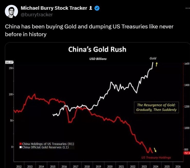 Michael Burry teilt die Sicht auf den Zusammenhang, der zwischen dem BRICS-Goldstandard und dem Abstoßen von US-Staatsanleihen besteht.